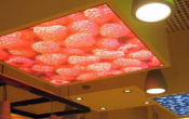 Shop with printed ceiling