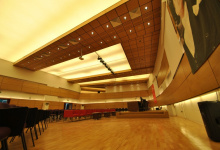 Acoustic ceiling conference hall