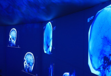 Brain image printed wall