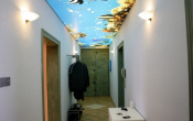 Corridor with aqua printed ceiling